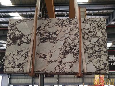 Calacatta Viola Marble